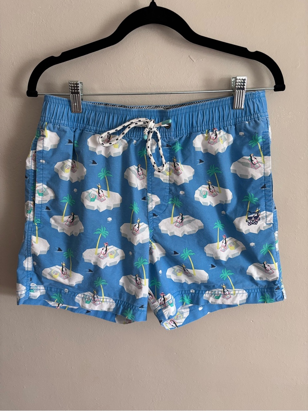 Party Pants Light Blue Drawstring Swim Shorts